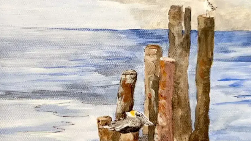 Seagulls Landing