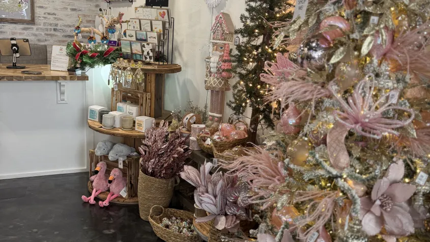 Checkout area