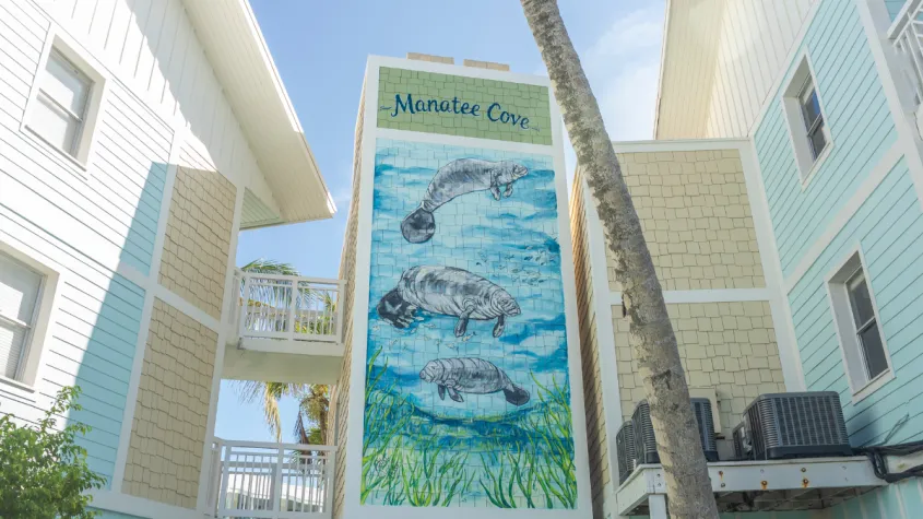 Manatee Cove