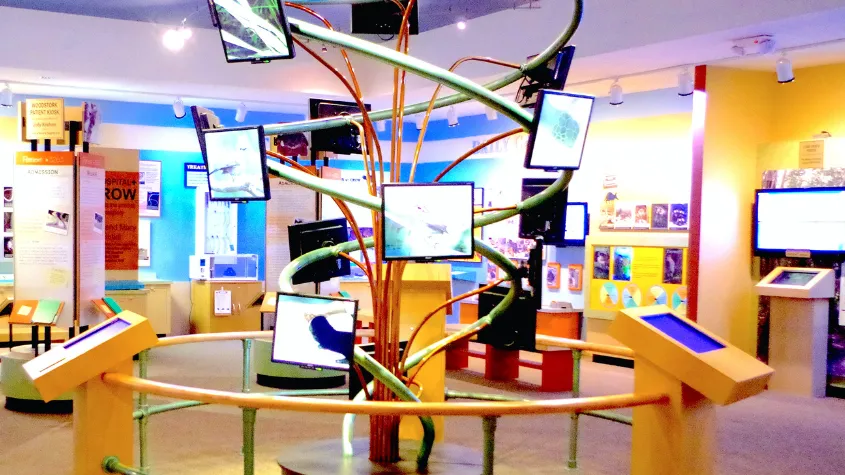 Inside view of CROW Visitor Education Center