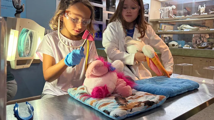 Children being Junior Wildlife Vets at CROW
