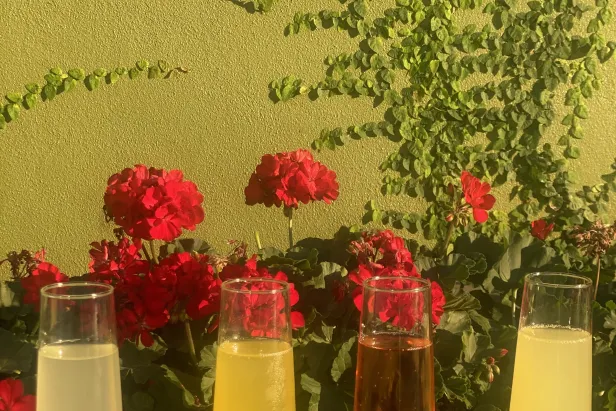 Four mimosas
