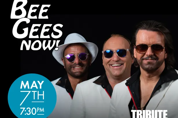 Bee Gees Now!

