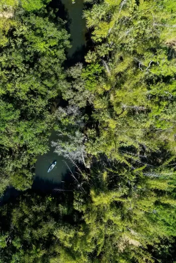 Single kayak drifting down a narrow river channel under a thick canopy of trees, seen from above.