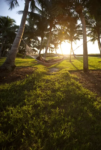 Woman relaxing in a hammock strung between palm trees at sunset, golden light filtering through the trees onto a grassy lawn near the beach.