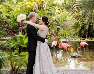 Wedding Couple Romance Flamingo Wonder Gardens