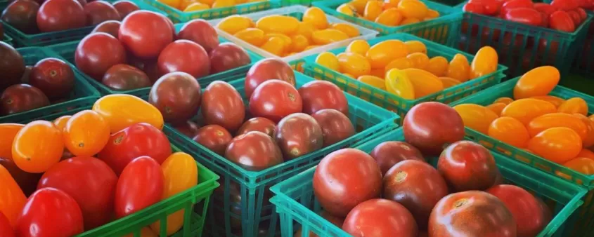 Farmer's Market