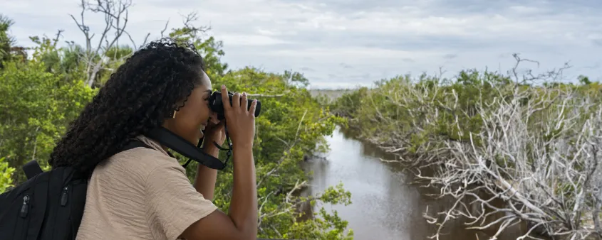 Woman using binoculars from a boardwalk overlooking a mangrove creek