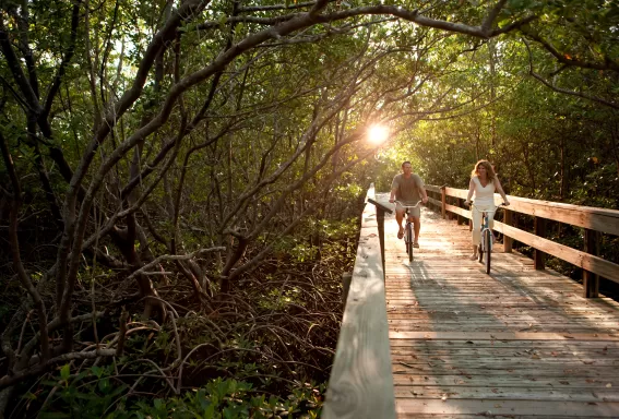 Cyclists riding along a nature trail