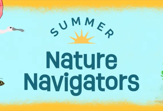 Illustrated Summer Nature Navigators banner with tropical plants and explorer characters.
