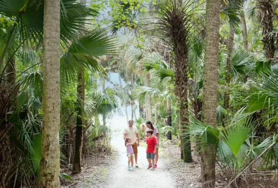 Family walks along a shaded nature trail.